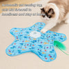 Cat Hunting Carpet, Teasing Stick, Five Pointed Star Toy