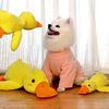 Dog toy with bite resistant grinding teeth