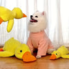 Dog toy with bite resistant grinding teeth