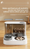 Pet feeder Automatic