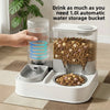 Pet feeder Automatic