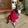 Dog Hoddie Norht Dog Face Multi Colors and Sizes