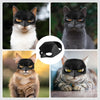 Cat Mask Cosplay