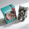 Smart Electric Plush Cat Toy
