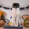 Cat Mask Cosplay