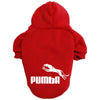 Dog Hoddie Norht Dog Face Multi Colors and Sizes