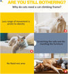 DayPlus Cat Tree Cat Tower Cat Scratching Post for Indoor/Outdoor