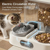 Pet feeder Automatic