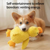 Dog toy with bite resistant grinding teeth